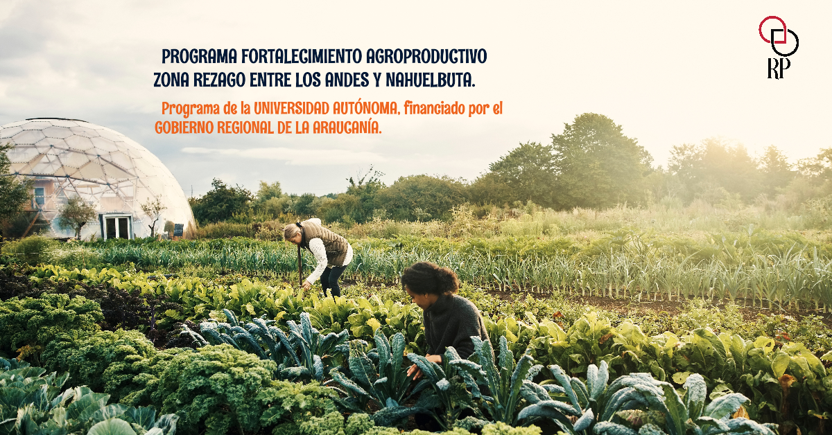 OTROS CONCURSOS